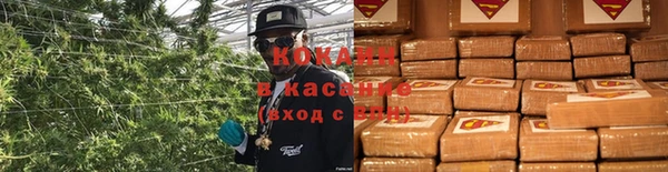 кокс Баксан