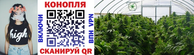 Марихуана VHQ Волхов